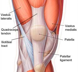 The Iliotibial Band - Full Circle School of Massage Therapy